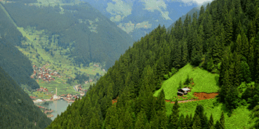 Uzungol