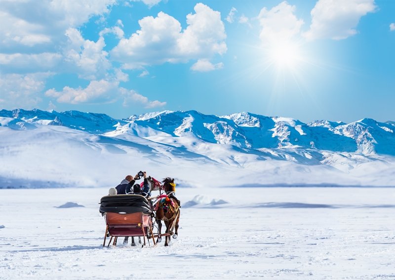 Horses pulling sleigh in winter , Cildir Lake, Kars