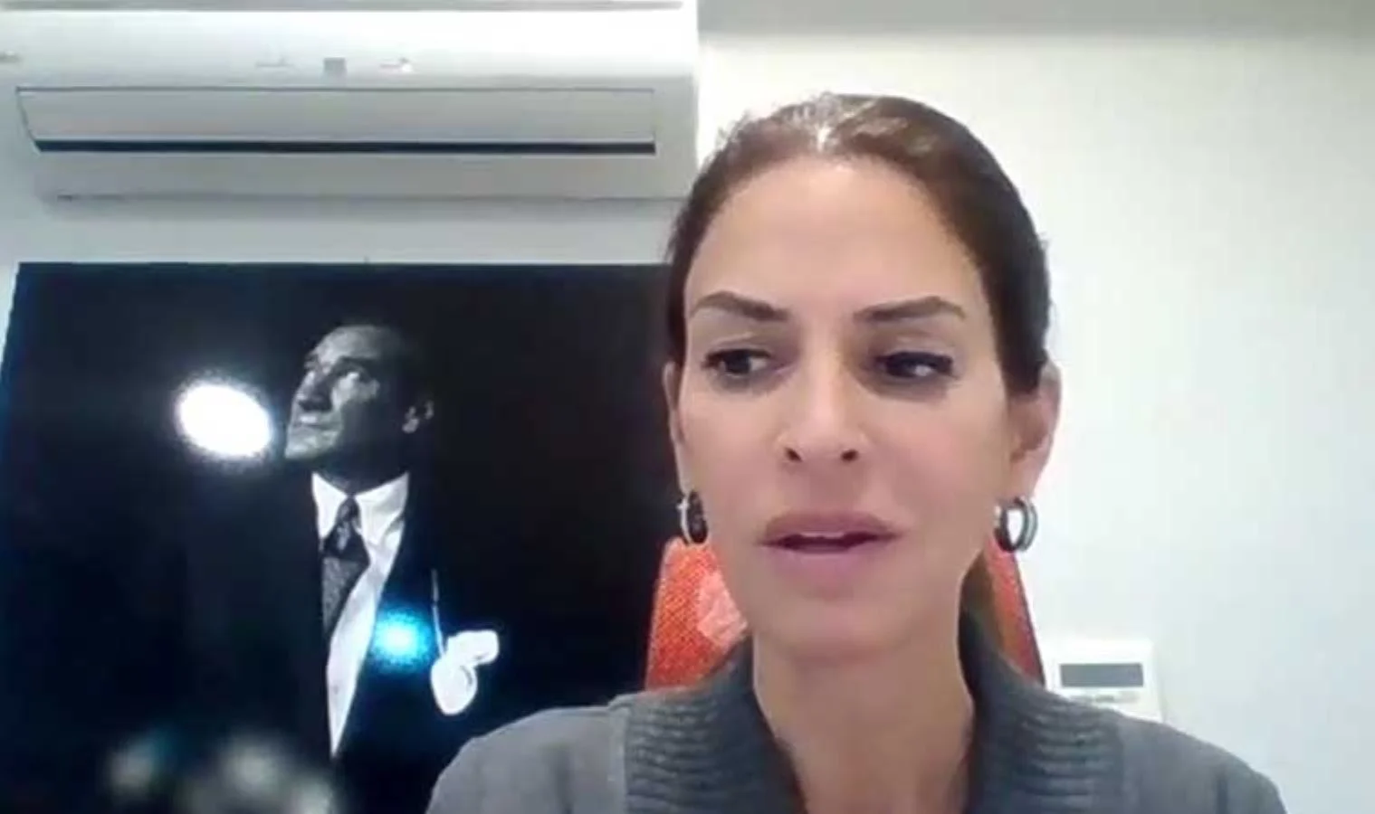 Tink kurucusu Zeynep Dereli