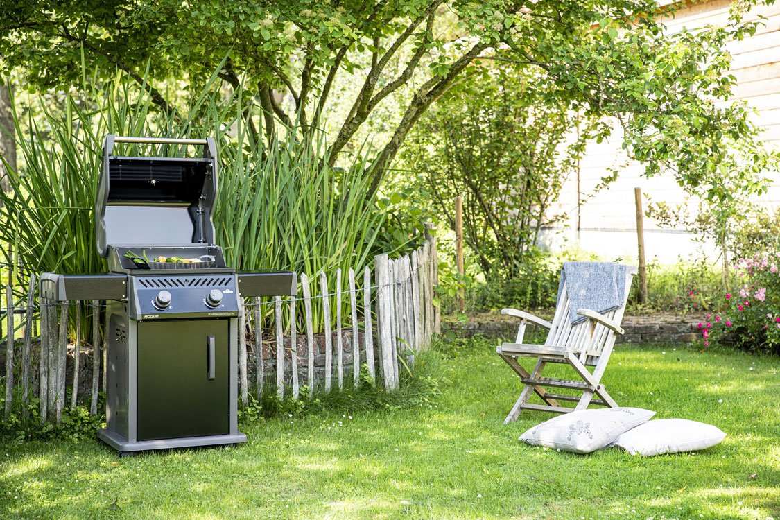 Lunica-Rogue-Gazli-Barbekü