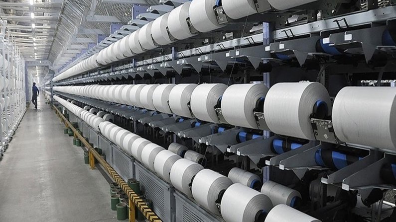 Sasa Polyester