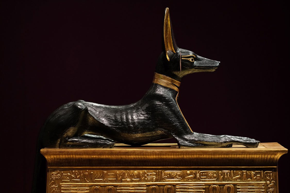 Anubis