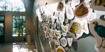 Suyun hikayesi sanatla buluşuyor