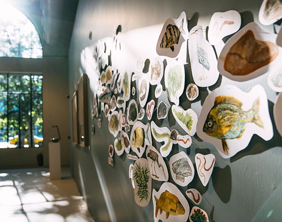 Suyun hikayesi sanatla buluşuyor